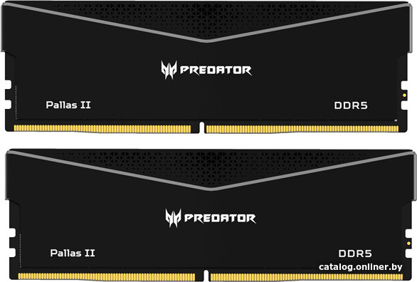 Оперативная память Acer Predator Pallas II 2x16ГБ DDR5 6400 МГц BL.9BWWR.434