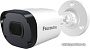 IP-камера Falcon Eye FE-IPC-B2-30p