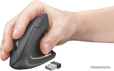 Купить вертикальная мышь trust verto wireless в интернет-магазине X-core.by