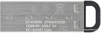 USB Flash Kingston Kyson 64GB  купить в интернет-магазине X-core.by