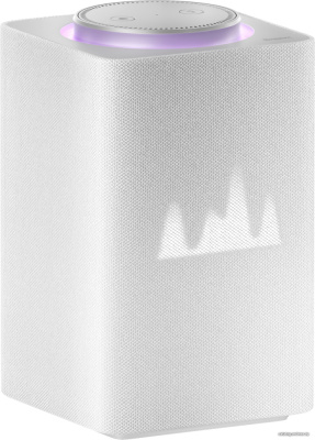 Купить умная колонка яндекс станция макс (с хабом умного дома zigbee, серый) в интернет-магазине X-core.by