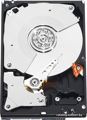 Жесткий диск WD RE4 500 Гб (WD5003ABYX) купить в интернет-магазине X-core.by