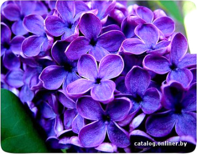 Купить коврик для мыши buro bu-m20049 в интернет-магазине X-core.by