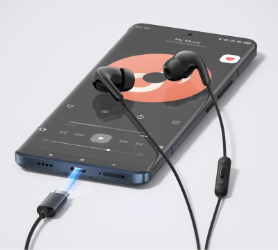 Купить наушники xiaomi type-c earphones m2413e1 (черный, международная версия) в интернет-магазине X-core.by