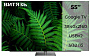OLED телевизор Витязь 55LU1250