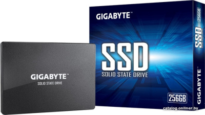 SSD Gigabyte 256GB GP-GSTFS31256GTND  купить в интернет-магазине X-core.by