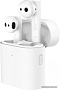 Наушники Xiaomi Mi True Wireless Earphones 2S TWSEJ07WM (международная версия)