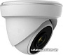 IP-камера Arsenal AR-IP202/40 Starlight