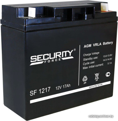 Купить аккумулятор для ибп security force sf 1217 (12в/17 а·ч) в интернет-магазине X-core.by
