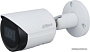 IP-камера Dahua DH-IPC-HFW2231SP-S-0360B-S2