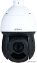 IP-камера Dahua DH-SD49225DB-HNY