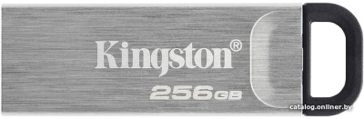 USB Flash Kingston Kyson 256GB  купить в интернет-магазине X-core.by