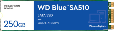 SSD WD Blue 250GB WDS250G3B0B  купить в интернет-магазине X-core.by