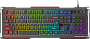 Клавиатура Genesis Rhod 400 RGB