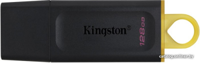 USB Flash Kingston Exodia 128GB  купить в интернет-магазине X-core.by