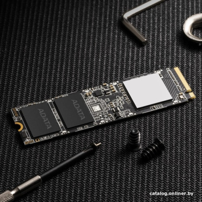 SSD A-Data XPG SX8100 1TB ASX8100NP-1TT-C  купить в интернет-магазине X-core.by