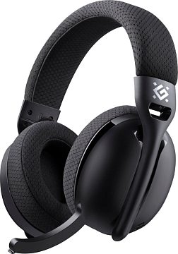 Наушники Defender Triple (черный)