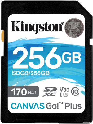 Купить карта памяти kingston canvas go! plus sdxc 256gb в интернет-магазине X-core.by