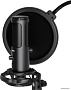 Микрофон Lorgar Voicer 931