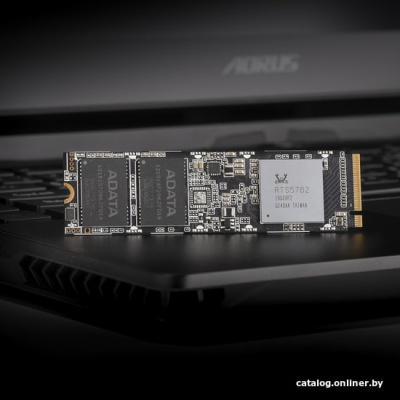 SSD A-Data XPG SX8100 1TB ASX8100NP-1TT-C  купить в интернет-магазине X-core.by