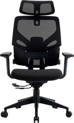 Купить офисное кресло evolution lumbarpro (черный) в интернет-магазине X-core.by