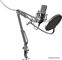 Микрофон Ritmix RDM-169
