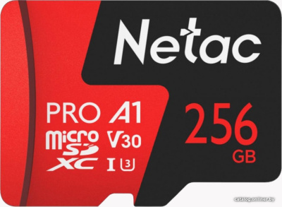 Купить карта памяти netac p500 extreme pro 256gb nt02p500pro-256g-s в интернет-магазине X-core.by