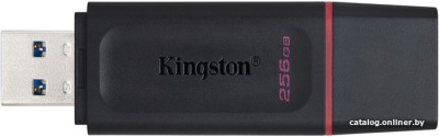 USB Flash Kingston Exodia 256GB  купить в интернет-магазине X-core.by