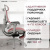 Купить офисное кресло evolution lx 3 burgundy (бордовый) в интернет-магазине X-core.by