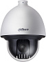 IP-камера Dahua DH-SD60432DB-HNY