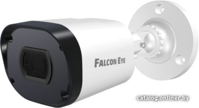 Купить ip-камера falcon eye fe-ipc-bp2e-30p в интернет-магазине X-core.by