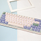 Купить клавиатура varmilo minilo eucalyptus vxb67 (ec v2 violet, нет кириллицы) в интернет-магазине X-core.by