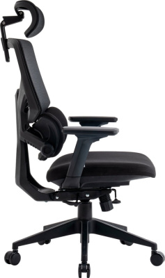 Купить офисное кресло evolution lumbarpro (черный) в интернет-магазине X-core.by