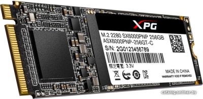 SSD A-Data XPG SX6000 Pro 256GB ASX6000PNP-256GT-C  купить в интернет-магазине X-core.by