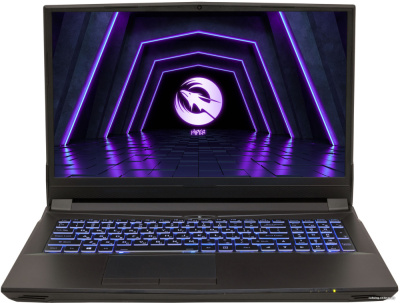 Купить игровой ноутбук hiper gaming g16 g16rtx3070a10400w11 в интернет-магазине X-core.by