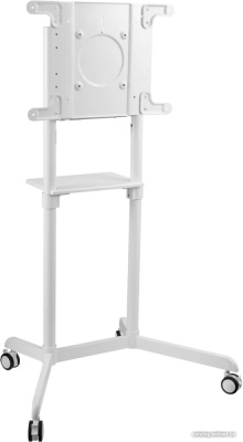 Купить кронштейн cactus cs-st1146wt в интернет-магазине X-core.by
