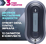 Робот для мытья окон Даджет W220