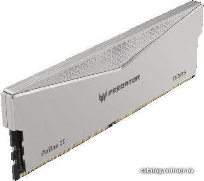 Оперативная память Acer Predator Pallas II 2x16ГБ DDR5 6400 МГц BL.9BWWR.532  купить в интернет-магазине X-core.by