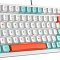 Купить клавиатура a4tech fstyler fs300 panda snorkeling в интернет-магазине X-core.by