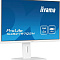 Купить монитор iiyama prolite xub2797qsn-w2 в интернет-магазине X-core.by