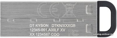 USB Flash Kingston Kyson 256GB  купить в интернет-магазине X-core.by