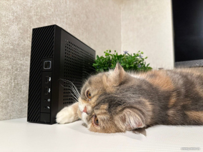 Купить компактный компьютер jet office 5i347d8sd48vgam1w1 в интернет-магазине X-core.by