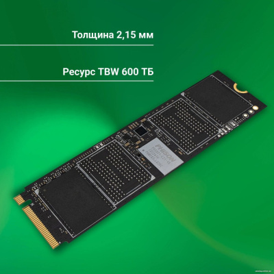 SSD Digma Meta P21 1TB DGSM4001TP21T  купить в интернет-магазине X-core.by