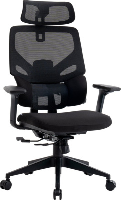 Купить офисное кресло evolution lumbarpro (черный) в интернет-магазине X-core.by