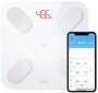 Напольные весы Picooc Mini Pro V2
