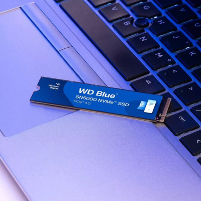 SSD WD Blue SN5000 500GB WDS500G4B0E  купить в интернет-магазине X-core.by