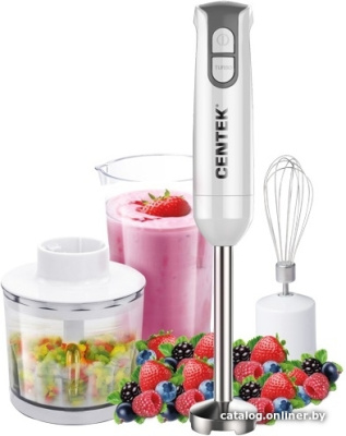 Погружной блендер CENTEK CT-1336  купить в интернет-магазине X-core.by