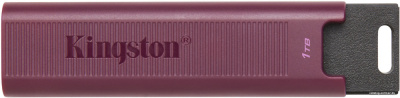 USB Flash Kingston DataTraveler Max Type-A 1TB  купить в интернет-магазине X-core.by