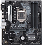 Материнская плата ASUS Prime B365M-A