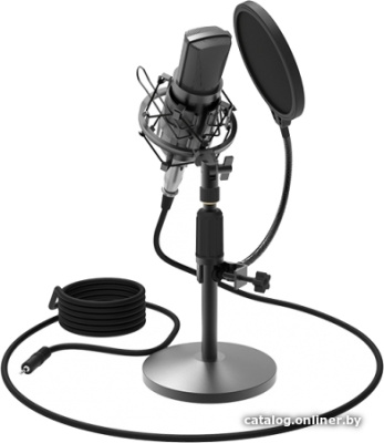 Купить микрофон ritmix rdm-175 в интернет-магазине X-core.by